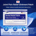 Herbale Pain Relief Patch